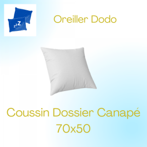 coussin dossier canapé 70x50